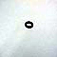O-ring Valve Cover 85-95